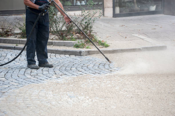 Best Roof Cleaning and Mildew Removal in Plymouth, IN